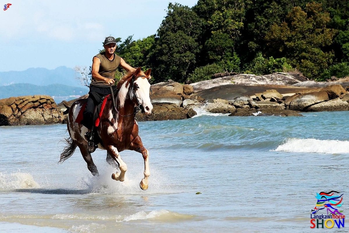 Jungle & Beach