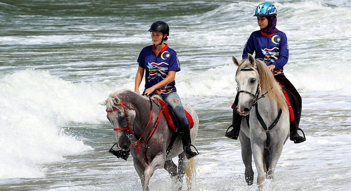 Ride & Swim with the Horse