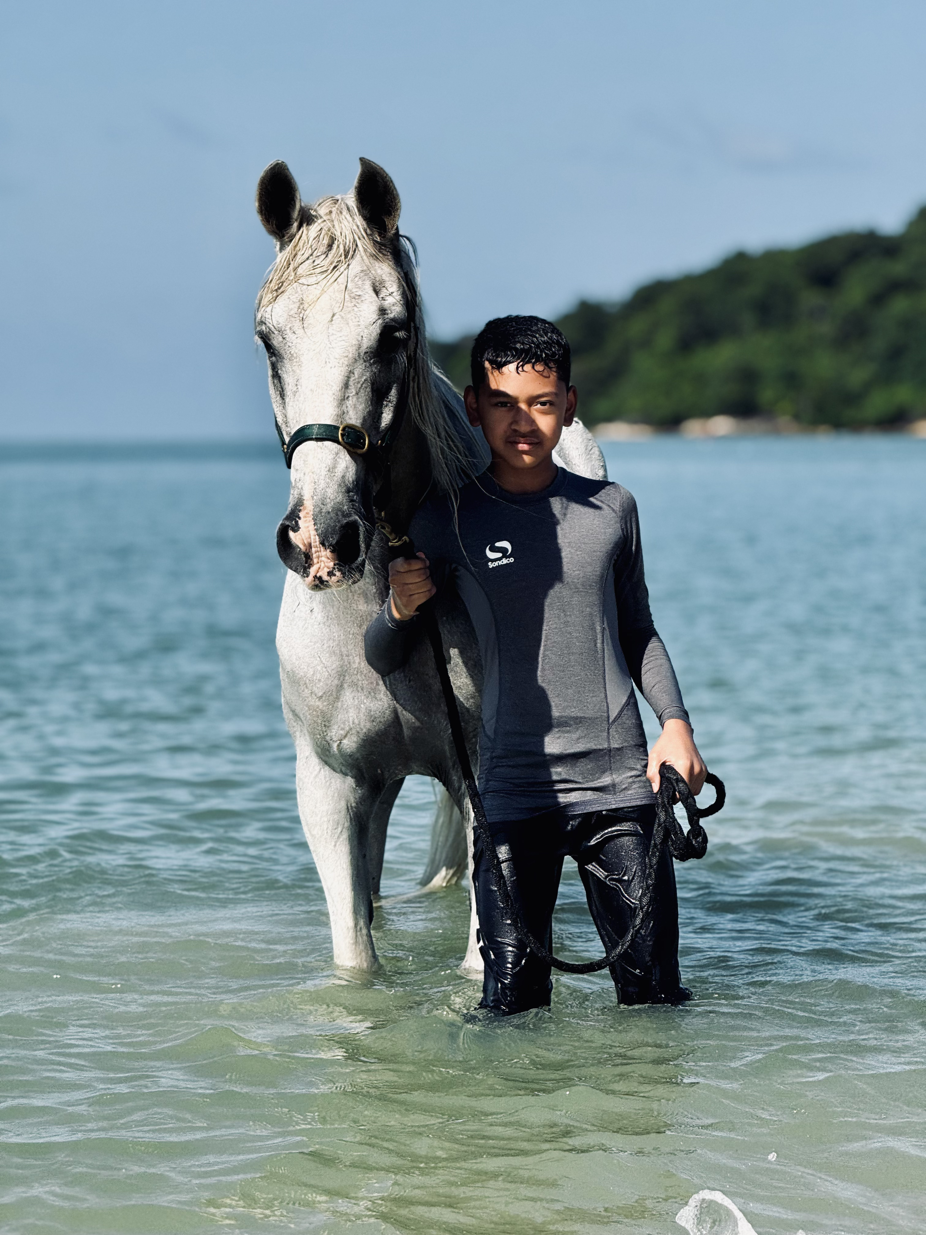 Swim with the Horse Only